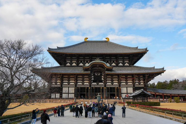 Excursión Privada de un Día a lo Más Destacado de Nara y Osaka