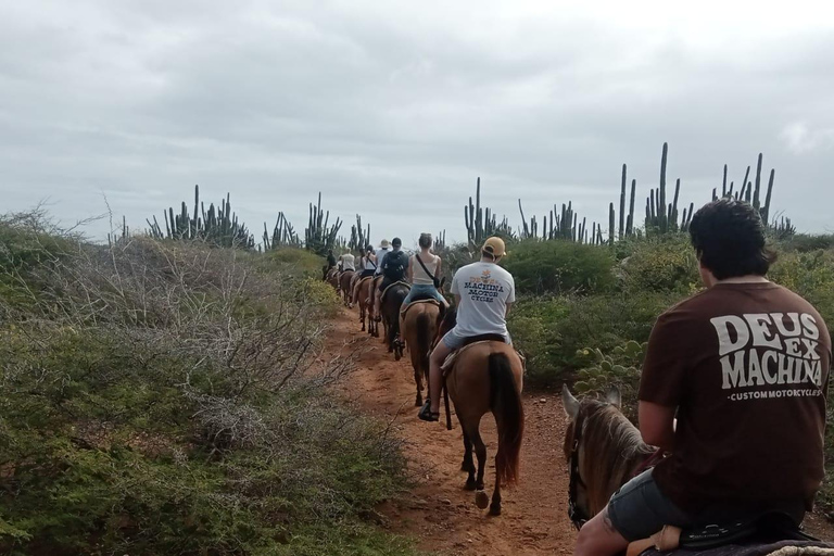 Tour privado a caballo por la playa y el parque nacional de Aruba ArikokPlaya para montar a caballo y Parque Nacional Arikok