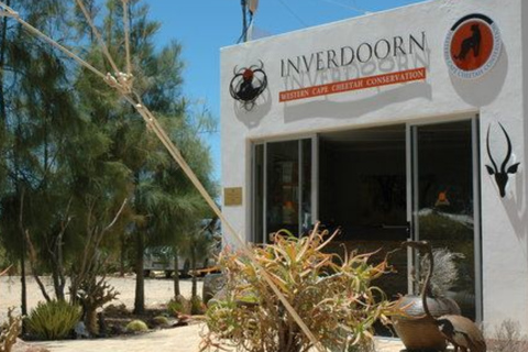 Cape Town: 2-Day Big Five Safari at Inverdoorn Lodge