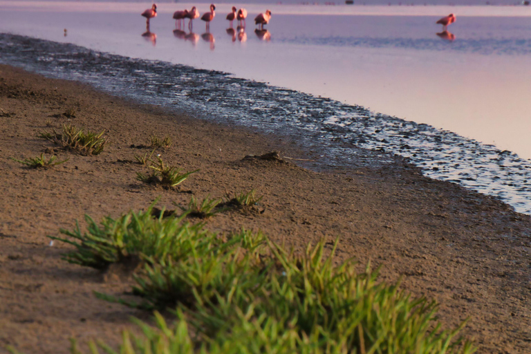 Sandwich Harbour Guided Tour