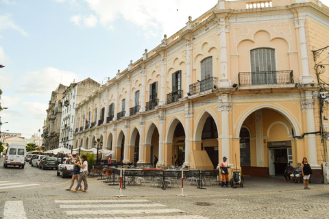 Half-Day City Tour: Salta and San Lorenzo