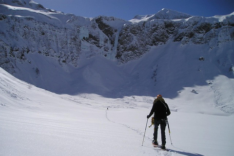 Excursión privada con raquetas de nieve de día completo