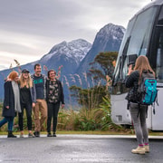 From Te Anau: Milford Sound Coach Tour and Cruise