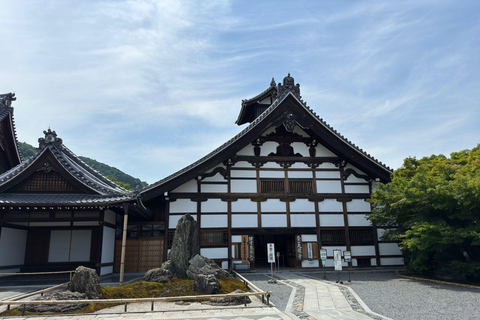 From Osaka/Kyoto: Nara One Day Private Tour