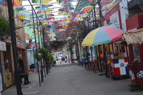 Puerto Plata: passeio cultural com degustação de rum e charutosPuerto Plata: tour cultural com degustação de rum e charutos