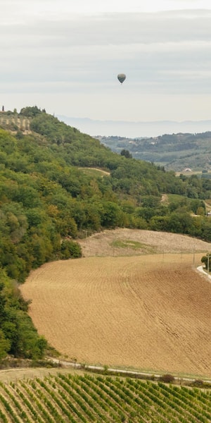 Florence Balloon Flight Over Tuscany GetYourGuide