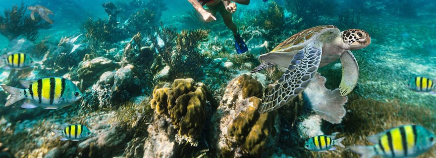 Puerto Morelos : Excursion de plongée avec masque et tuba sur le récif avec déjeuner sur la plage