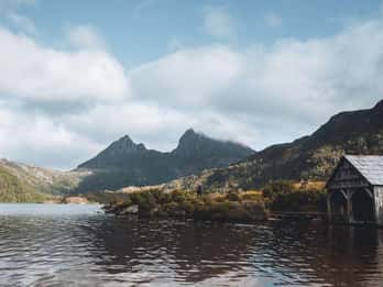 Pacchetto tour di 6 giorni in Tasmania: Icone dell'isola