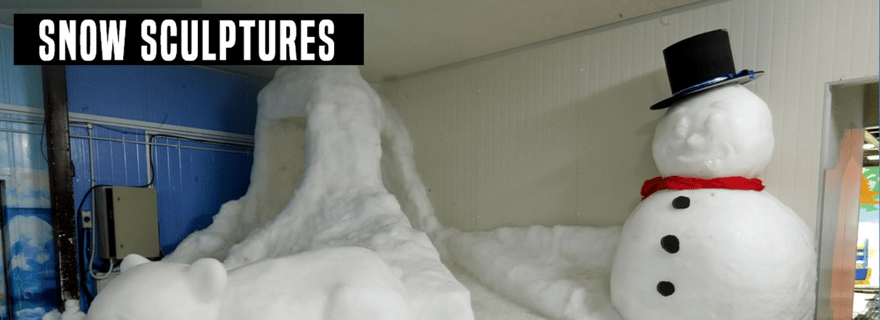 Snow City Singapore 1-Hour Play Ticket