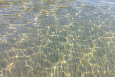 Rab : location de kayaks transparents à LoparRab : Location de kayaks transparents à Lopar