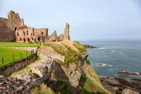 From Edinburgh: Puffin Boat Trip & Tantallon Castle