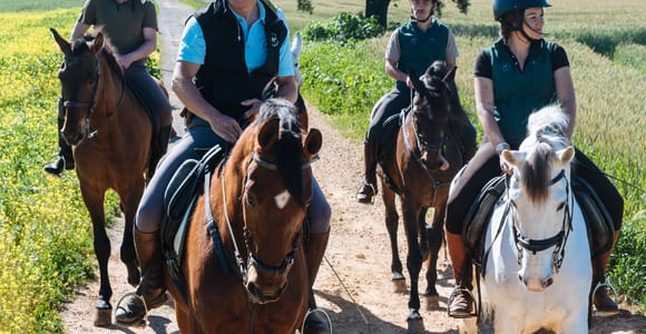 Horseback riding around Doñana National Park