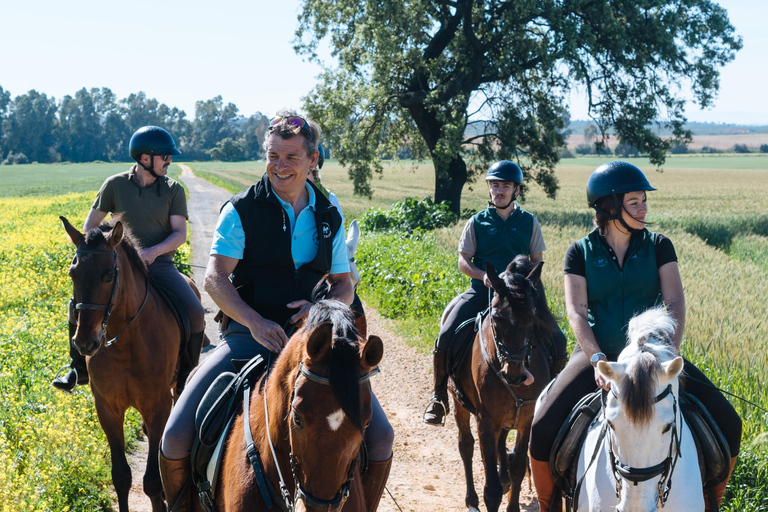 Horseback ride around Doñana National Park Horseback riding around Doñana National Park