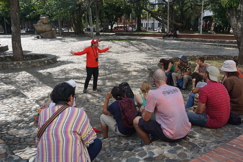 Recorrido de arte urbano Salsa y Resistencia de Cali