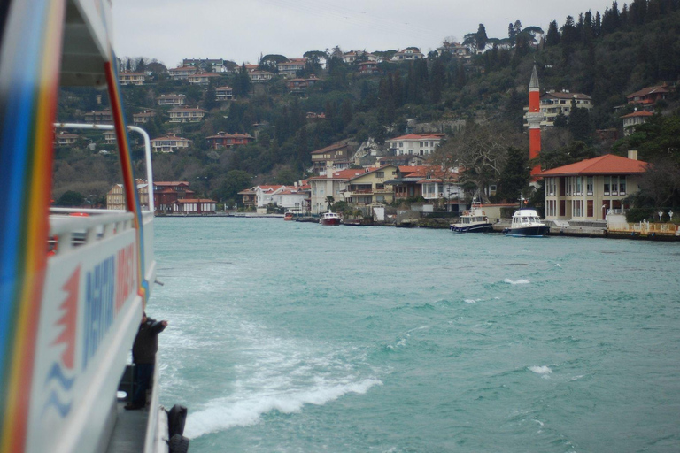 Dolmabahce Palace Ticket & Bosphorus Boat Tour Experience