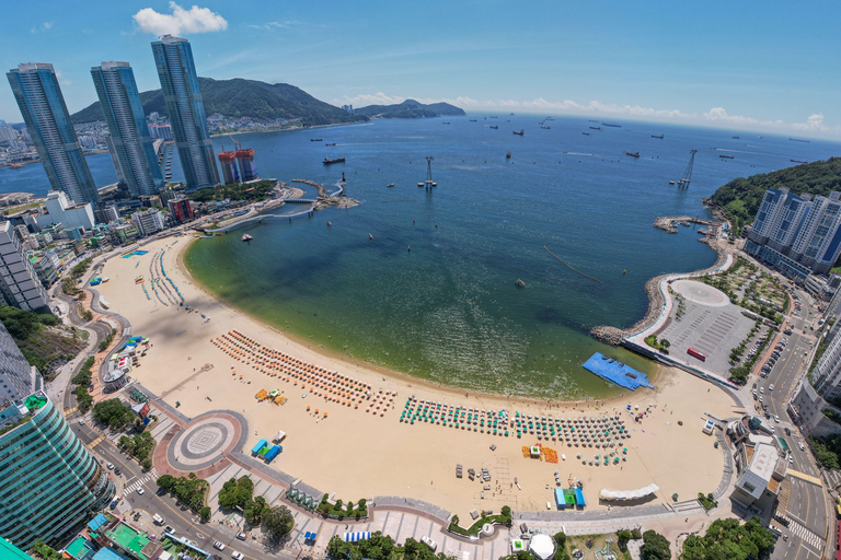 Busan Untold: War History, Hillside Villages & Songdo Cable Shared Group Tour, Depart from Busan Subway Station Exit 3