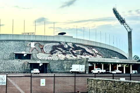 Mexico City Soccer Stadium Sightseeing & Street Food Tour