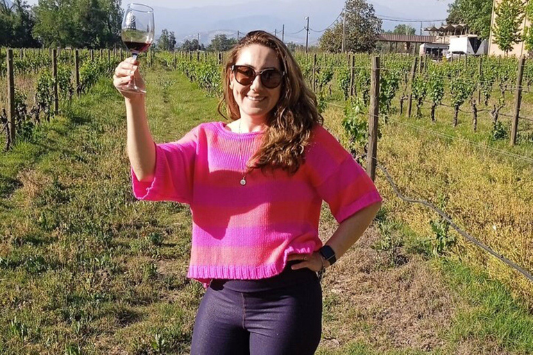 Santiago: Cousiño Macul Vineyard Premium Tasting Tour