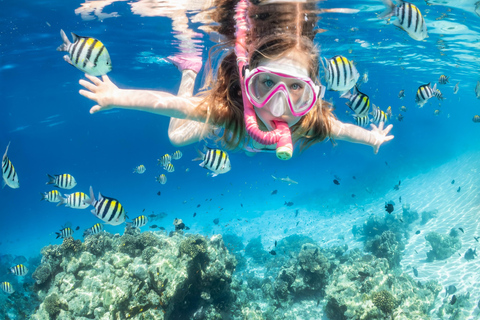 Sharm El Sheikh: Snorkeling at Ras Mohamed & White Island Small Group snorkeling trip - Lunch and soft Drinks included