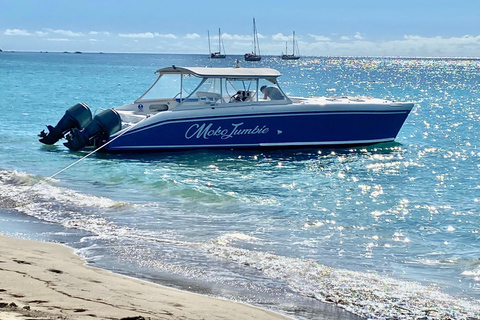 PRIVATE POWER CATAMARAN