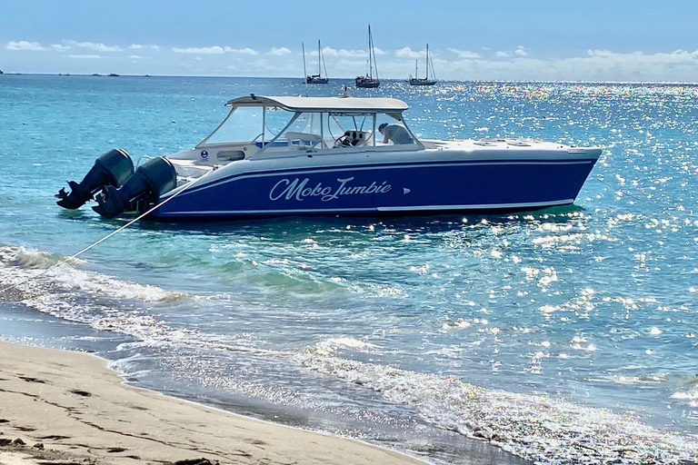 CATAMARÁN PRIVADO A MOTOR