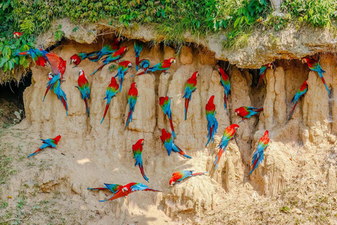 Cusco: Manu National Park 5-Day Jungle Wildlife Tour