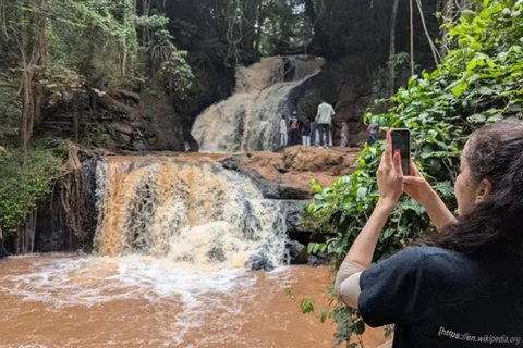 Karura guided walking tour