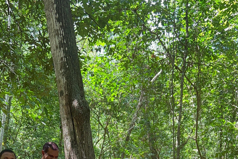 Visite privée des tunnels de Cu Chi depuis Ho Chi Minh Ville en voiture