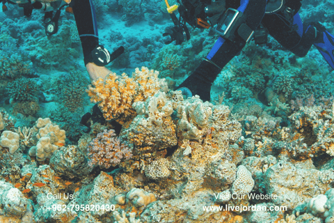 Aqaba : Cours de plongée sous-marine ( PADI )