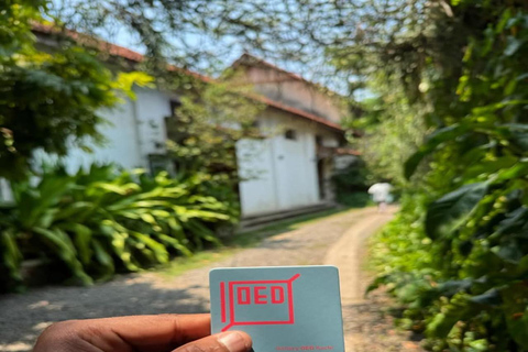 Kochi: Tuk-Tuk-Ausflug mit versteckten SchätzenKochi: Ausflug mit dem Tuk-Tuk zu versteckten Schätzen