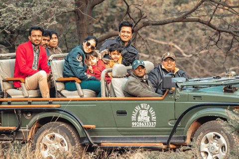 Jaipur: Same Day Jhalana Amagarh Leopard Safari Tour