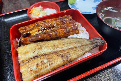 Dall&#039;aeroporto di Narita: Tour privato con scalo o tour guidato in transito