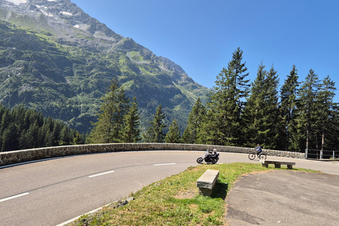 Lucerna: avventura in discesa in bicicletta con nuotata nel lagoLucerna: Avventura in bicicletta in discesa con bagno nel lago