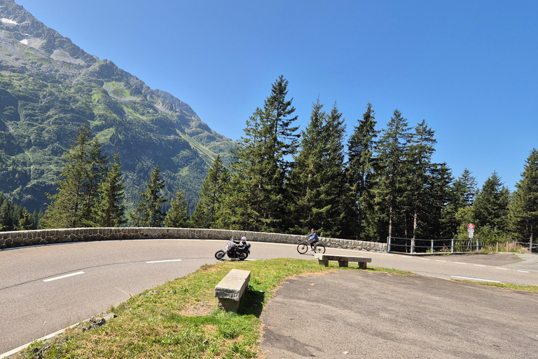 Lucerne : Aventure cycliste en descente avec baignade dans le lac