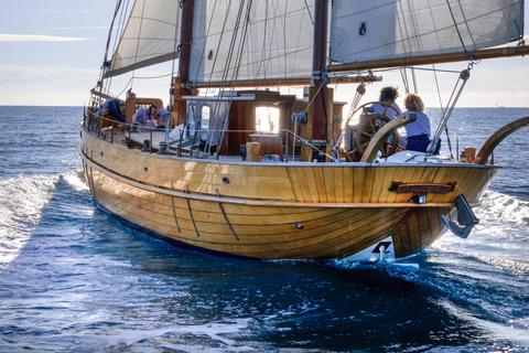 Marseille: Cap au Large Demi-journée en Voilier avec Bruine BeerCap au Large – Demi-journée en Voilier avec Bruine Beer