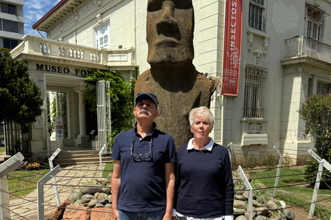 Valparaíso and Viña del Mar: a tour with art, culture, and beach from Santiago
