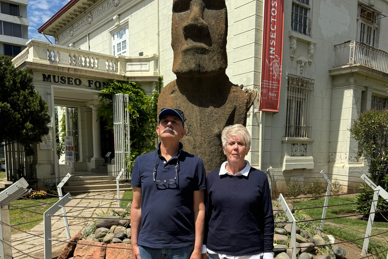 Valparaíso and Viña del Mar: a tour with art, culture, and beach from Santiago