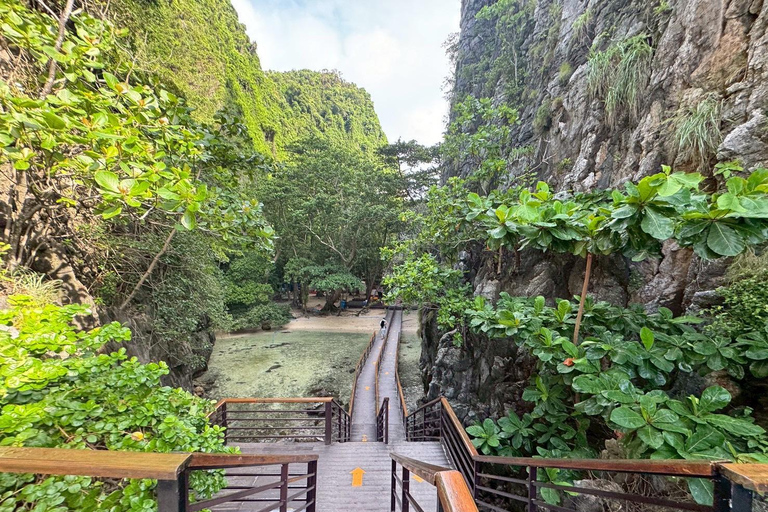 Krabi: Phi Phi Island Tour by Speedboat with Buffet Lunch