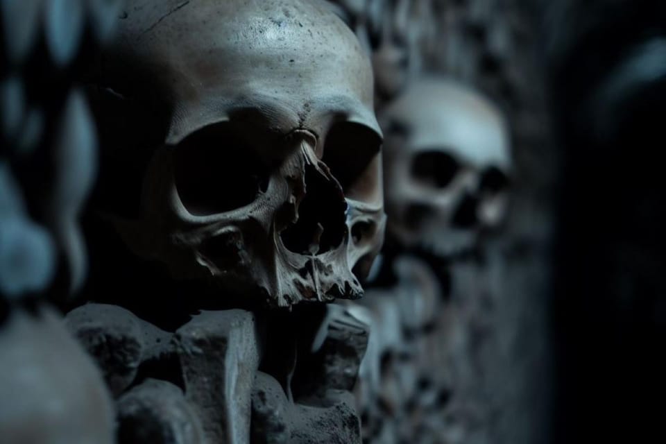 Catacombs ticket with audio guide and optional Seine cruise