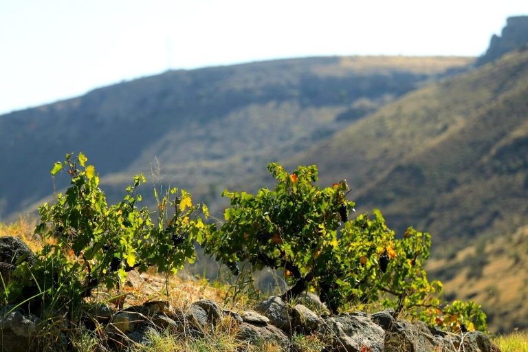 Excursión de un día por la Ruta del Vino de Vayots Dzor, descubre las Bodegas de Areni
