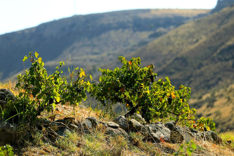 Excursion d'une journée sur la route des vins de Vayots Dzor, à la découverte des vignobles d'Areni