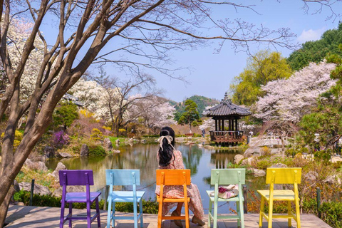 A partir de Seul: Begonia Bird Park, Rail Bike e Garden TourDongdaemun, 9h