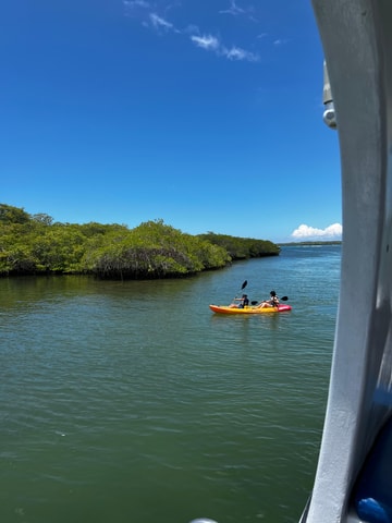 Galápagos: Sightseeing Tour to Tortuga Bay with Crystal-Clear Waters and Kayak