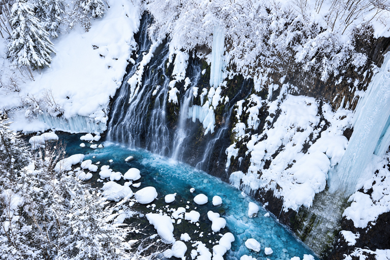 Sapporo: Asahiyama Zoo, Blue Pond & Ningle Terrace Tour