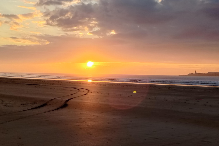 Day Trip To Essaouira From Marrakech With Guide