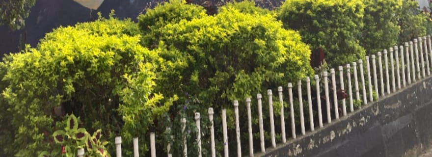 Medellín : Visite historique de Pablo Escobar Expérience complète