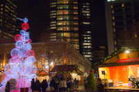 Christmas Sparkle, een feestelijke reis door Pittsburgh - Housity
