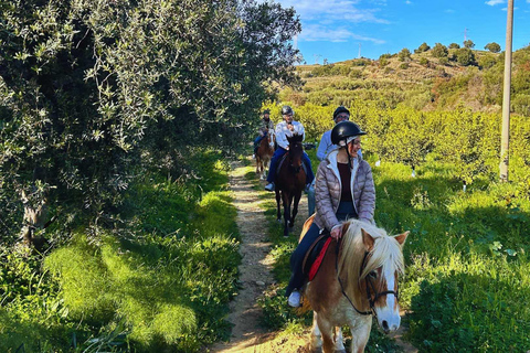 Catania: Guided Horseback Ride in Misterbianco Countryside