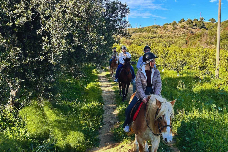 Catania: Guided Horseback Ride in Misterbianco Countryside