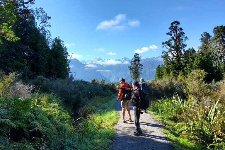 Nya Zeeland: Guidad 31-dagars South Island Tour med camping